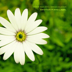 꽃무릇 (이루어질 수 없는 사랑) The Flower Bowl (Love That Can Not Be Done)