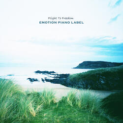 마법의 숲 A Magical Forest