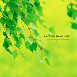 공주를 사랑한 피아니스트 A Pianist Who Loves A Princess