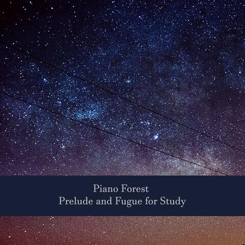 Piano Forest: Prelude and Fugue for Study
