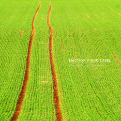 마법의 숲 A Magical Forest