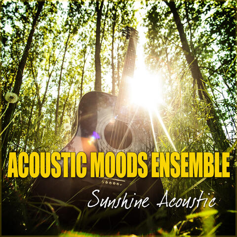 Sunshine Acoustic