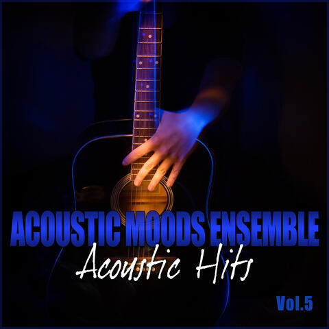 Acoustic Hits Vol. 5