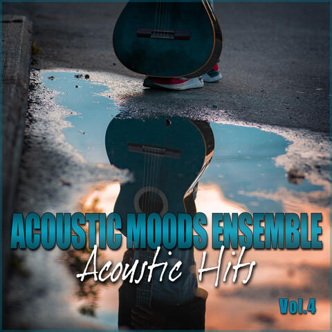Acoustic Hits Vol. 4