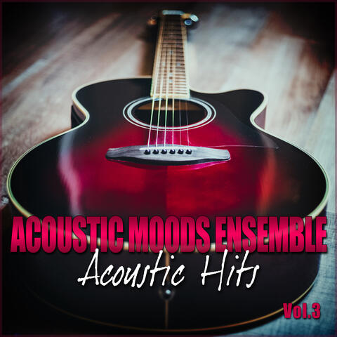 Acoustic Hits Vol. 3