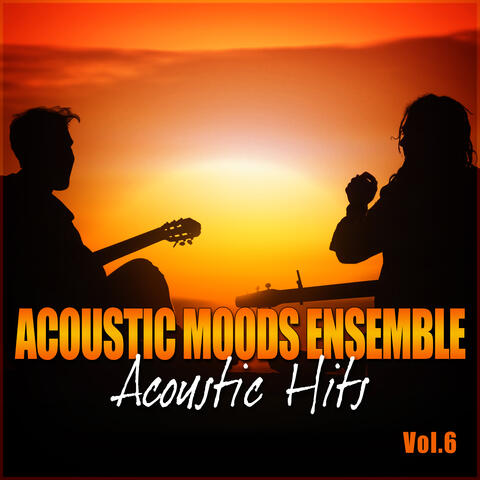 Acoustic Hits Vol. 6