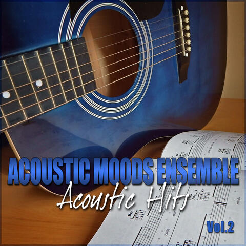 Acoustic Hits Vol. 2