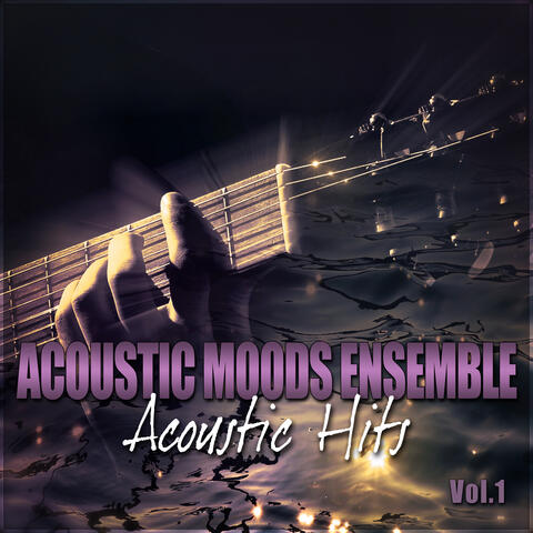 Acoustic Hits Vol. 1