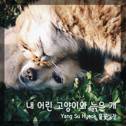 내 어린 고양이와 늙은 개 My Young Cat And Old Dog