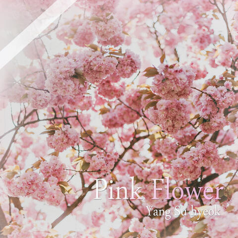 분홍 꽃 "여름의 시작" Pink Flower "Beginning Of Summer"