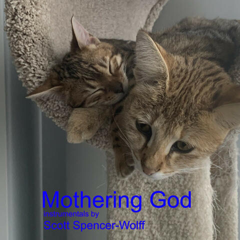 Mothering God