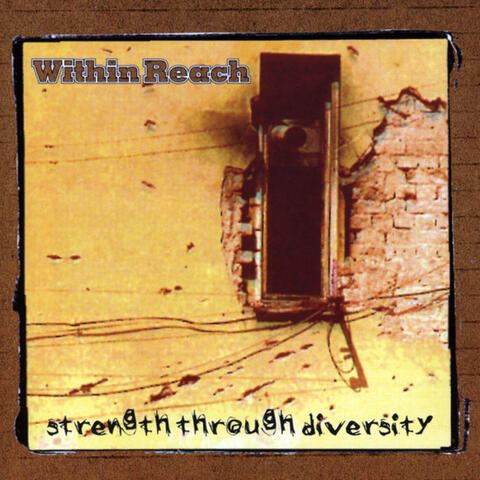 Strength Through Diversity