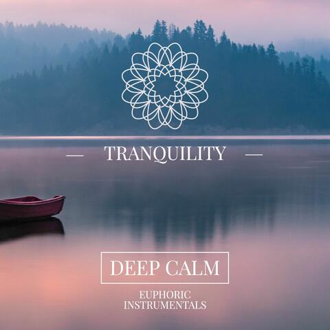 Tranquillity - Deep Calm / Euphoric Instrumentals