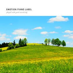Spring Field