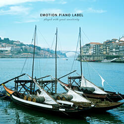 마법의 숲 A Magical Forest