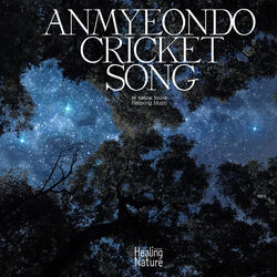 당신의 귀를 간지럽히는 귀뚜라미 소리 Cricket tickling your ears