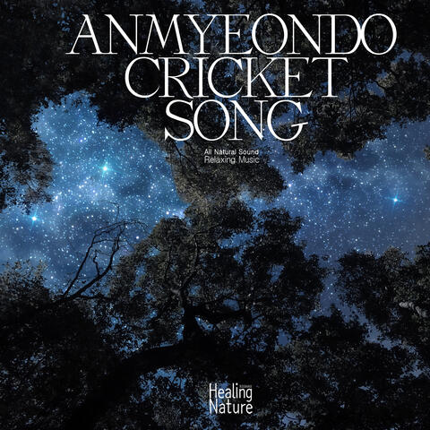 안면도 귀뚜라미의 노래 Anmyeondo cricket song
