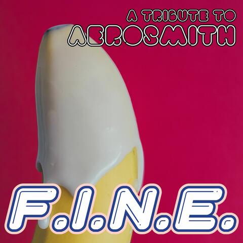 F.I.N.E. - A Tribute To Aerosmith