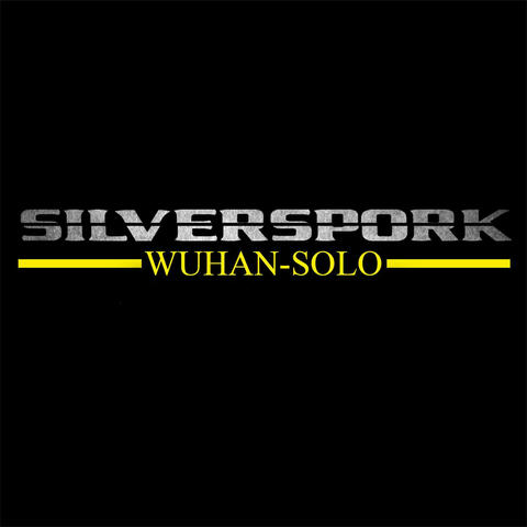 WuHan Solo