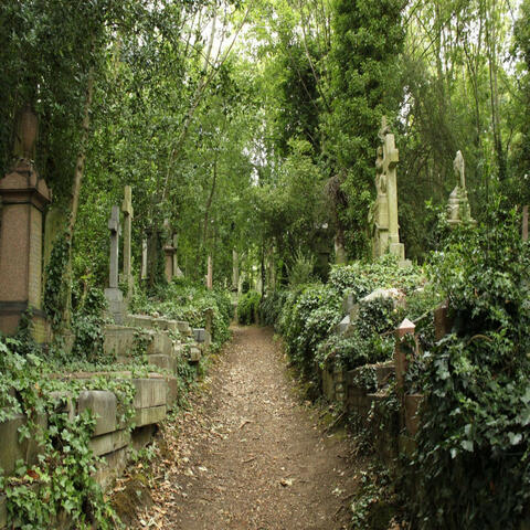 Highgate Cemetary