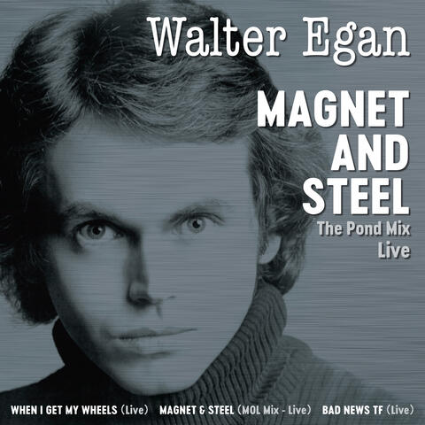 Magnet And Steel