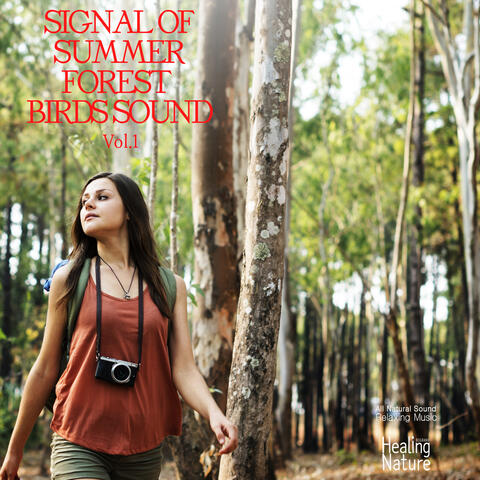 여름을 알리는 숲소리 Signal of Summer Forest Sound