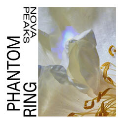 Phantom Ring