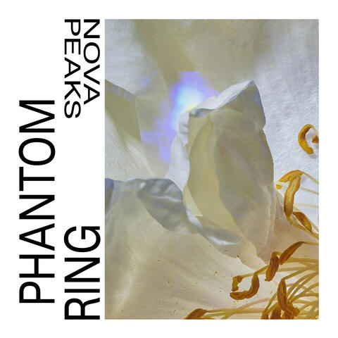Phantom Ring