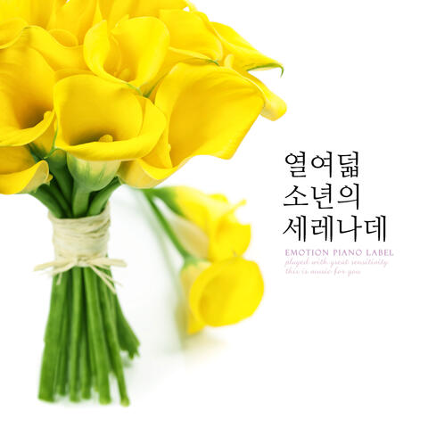 태양 Tae Yang