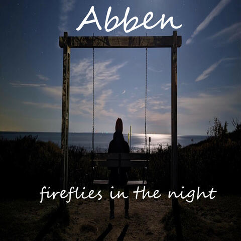 Fireflies in the Night