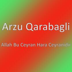 Allah Bu Ceyran Hara Ceyranidir
