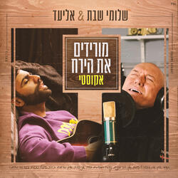 מורידים את הירח