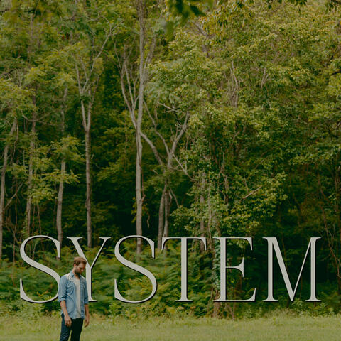 System