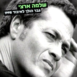 גבר הולך לאיבוד 1995