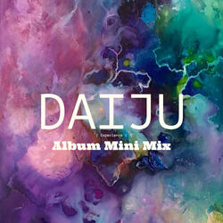 Experience (Album Mini Mix)