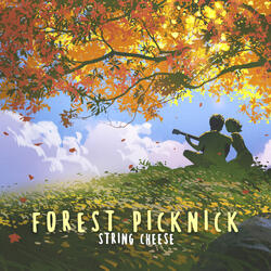 forest picknick