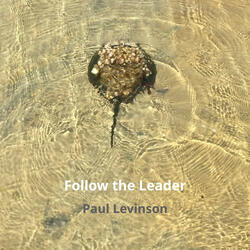 Follow the Leader