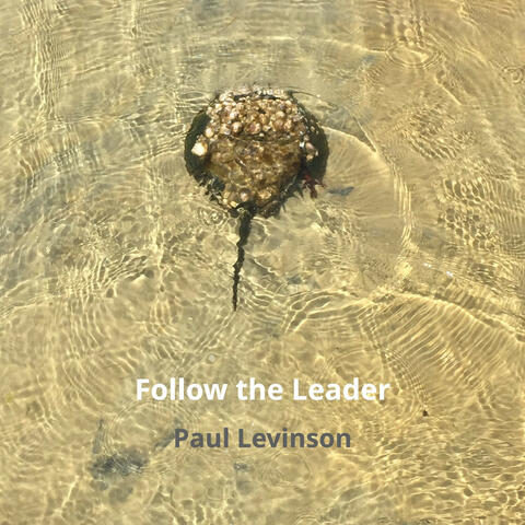 Follow the Leader