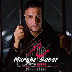 Murghe Sahar