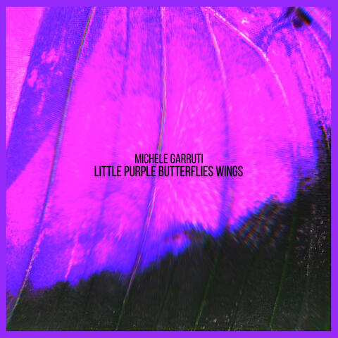 Little Purple Butterflies Wings