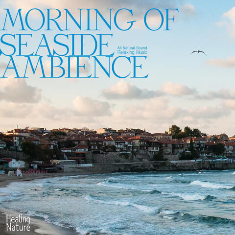 해변의 아침 Morning of Seaside Ambience