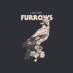 Furrows