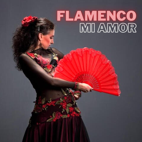Flamenco mi amor