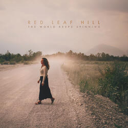 The World Keeps Spinning