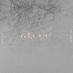GROOMY
