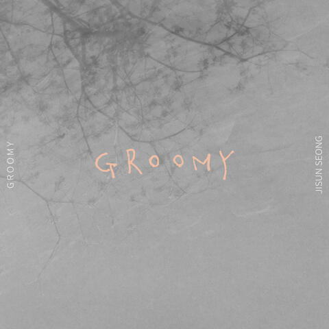 GROOMY