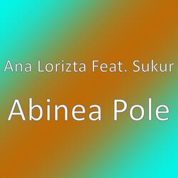 Abinea Pole