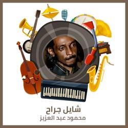 شايل جراح