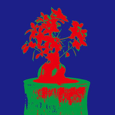 Banyan Bonsai