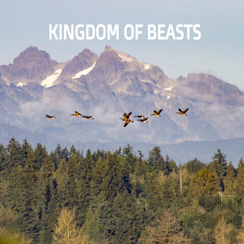 Kingdom of Beasts